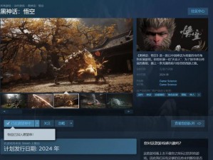 黑神话悟空Steam版解压后无法启动解决方案全解析