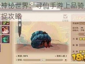 探索神秘世界：寻仙手游上品骑宠金甲捕捉攻略