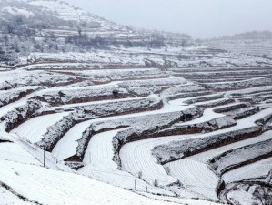 甘肃肃南七月飞雪 有牧民帐篷被压塌-甘肃肃南七月飞雪，牧民帐篷被压塌，情况如何？