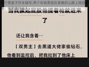 两个男孩子开车细写;两个年轻男孩在夜晚的山路上独自开车，会发生什么？