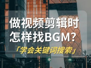 荷兰 HD 视频资源为何如此受欢迎？如何找到高质量的 BGMBGMBGM 荷兰 HD？