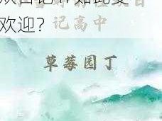 为什么高中小雪的性欢日记 h 如此受欢迎？