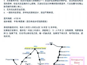 探索未知之路：The Wild Road 详细入门攻略