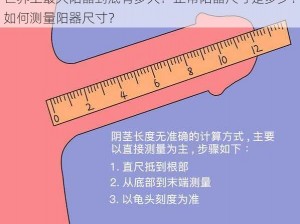 世界上最大阳器到底有多大？正常阳器尺寸是多少？如何测量阳器尺寸？