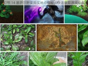 最终幻想 14 基萨尔野菜购买地点揭秘，快速获取游戏必备道具