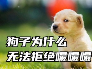 狗的东西又大又长干了一晚上 为什么要让我回答这么羞羞的问题啊？我拒绝