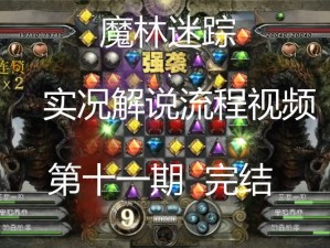 魔林迷踪消除攻略：揭秘高效解题技巧与策略