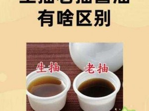 生抽与老抽：揭示两者差异，解析调味奥秘，厨房必备知识