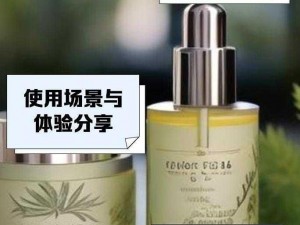 diptyque 含羞草香薰怎么样？为何它能成为香薰界的明星产品？