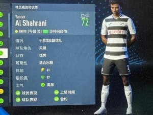 FIFA13 球员特性大揭秘：揭秘球员背后的故事