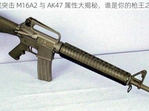 全民突击 M16A2 与 AK47 属性大揭秘，谁是你的枪王之王？