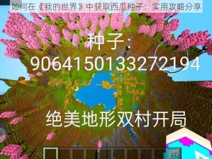 如何在《我的世界》中获取西瓜种子：实用攻略分享