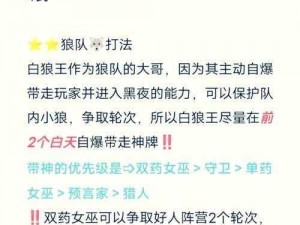 决战平安京：白狼能否胜任硬辅位置？浅析白狼搭配硬辅的可行性