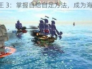 《海商王 3：掌握自给自足方法，成为海上霸主》