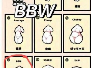 如何找到最大的 BBWBBW？