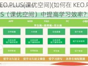 KEO.PLUS(课优空间)(如何在 KEO.PLUS（课优空间）中提高学习效率？)