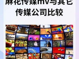 麻花传媒 MV 与其他传媒公司有何不同？如何选择适合自己的传媒公司？