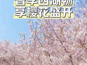 樱花视频高清播放在线观看，海量影视资源，免费畅享无广告