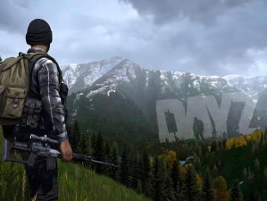 DayZ独立版生存攻略大揭秘：实用技巧助你野外求生