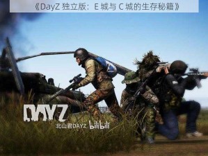 《DayZ 独立版：E 城与 C 城的生存秘籍》