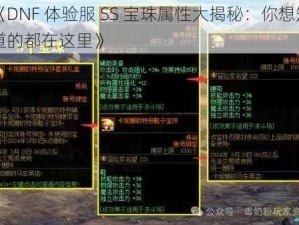 《DNF 体验服 SS 宝珠属性大揭秘：你想知道的都在这里》
