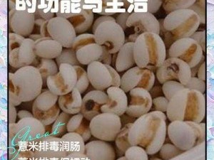 江南百景图：薏米的神奇功效与获取攻略