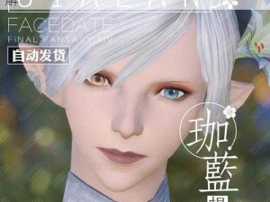 最终幻想 14（FF14）捏脸数据导入方法详解