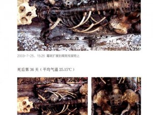 腐烂国度地图揭秘：探寻背后的历史真相与地理变迁