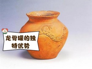 石器时代宠物罐头独特制法：探寻古味与现代工艺的结合之旅