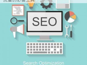 seo 短视频网页入口引流：高效提升网站流量的必备工具