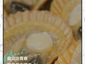 你喜欢我的扇贝吗？海鲜过敏如何是好？