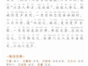 《纯白和弦余音绕梁：全面解析作用及获取方法》