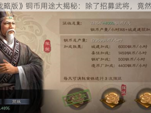 《三国志战略版》铜币用途大揭秘：除了招募武将，竟然还能这么用