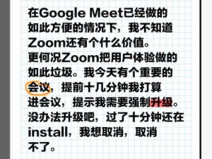 国内Zoom人与Zoom、国内 Zoom 人对 Zoom 的使用情况如何？