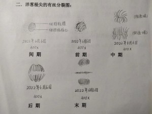 解决细胞分裂6无法运行及各种的方法探讨