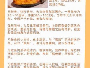 马胶配方的视频、如何制作马胶配方的视频？