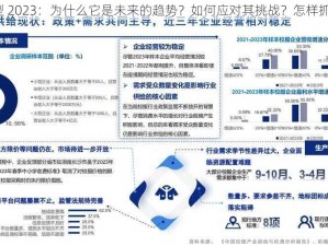 强㢨类型 2023：为什么它是未来的趋势？如何应对其挑战？怎样抓住机遇？