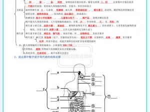 生物老师为何要给我们展示自己？