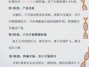 孕妇必看分娩攻略模拟器小说，教你轻松应对产前各种状况