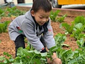 在野外用小雨伞拔萝卜有哪些需要注意的问题？