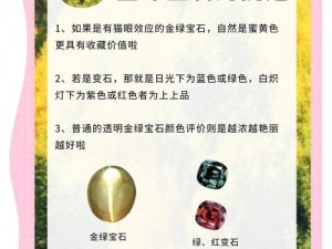 神秘绿宝石钻石金币大礼包，探索神奇宝贝世界的绝佳选择