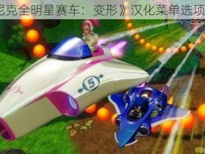 《索尼克全明星赛车：变形》汉化菜单选项大揭秘