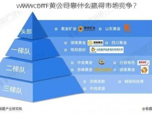 wwwcom 黄公司靠什么赢得市场竞争？