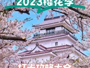 樱花官网官方进入版网址2023_樱花官网官方进入版网址 2023：探索日化的窗口