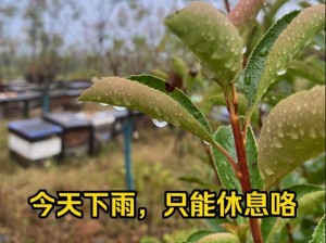 突然の大雨に備えて、中に一雨宿する方法は？