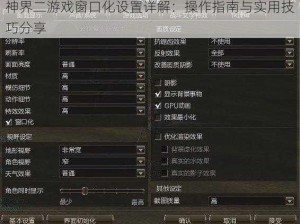 神界二游戏窗口化设置详解：操作指南与实用技巧分享