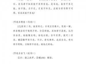 人与马畜禽翻译公司——专业翻译，值得信赖