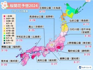 2023 年樱花官方正版官网入口为何难找？怎样快速找到樱花官方正版官网入口 2023？