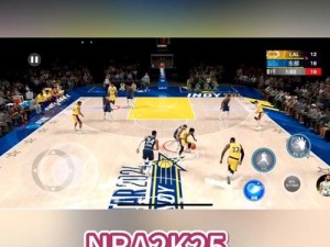 乐游网独家解析：NBA 2K11游戏指南——最全面直观图文教程带你飞入篮球世界