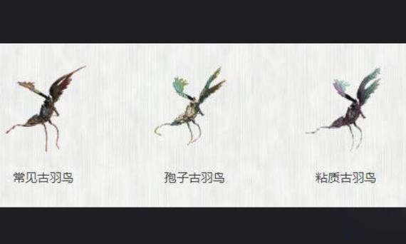 Warframe古羽鸟攻略:掌握高效捕获古羽鸟的详细方法与技巧介绍